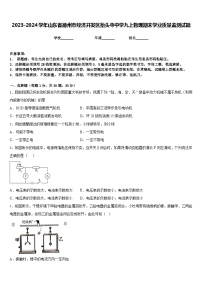 2023-2024学年山东省德州市经济开发区抬头寺中学九上物理期末学业质量监测试题含答案