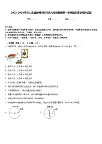 2023-2024学年山东省德州市经开区九年级物理第一学期期末质量检测试题含答案