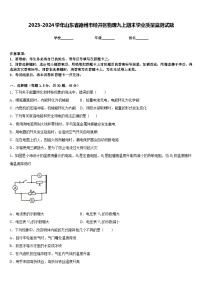 2023-2024学年山东省德州市经开区物理九上期末学业质量监测试题含答案