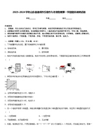 2023-2024学年山东省德州市乐陵市九年级物理第一学期期末调研试题含答案