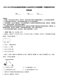 2023-2024学年山东省德州市陵城区江山实验学校九年级物理第一学期期末教学质量检测试题含答案