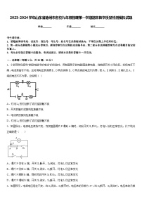 2023-2024学年山东省德州市名校九年级物理第一学期期末教学质量检测模拟试题含答案