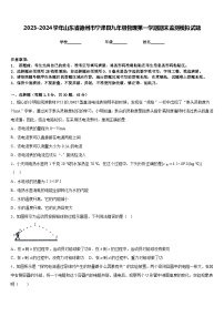 2023-2024学年山东省德州市宁津县九年级物理第一学期期末监测模拟试题含答案