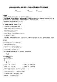 2023-2024学年山东省德州市平原县九上物理期末统考模拟试题含答案