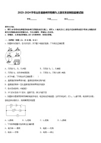 2023-2024学年山东省德州市物理九上期末质量跟踪监视试题含答案