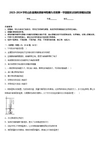 2023-2024学年山东省惠民县联考物理九年级第一学期期末达标检测模拟试题含答案