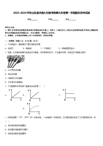 2023-2024学年山东省济南七校联考物理九年级第一学期期末统考试题含答案