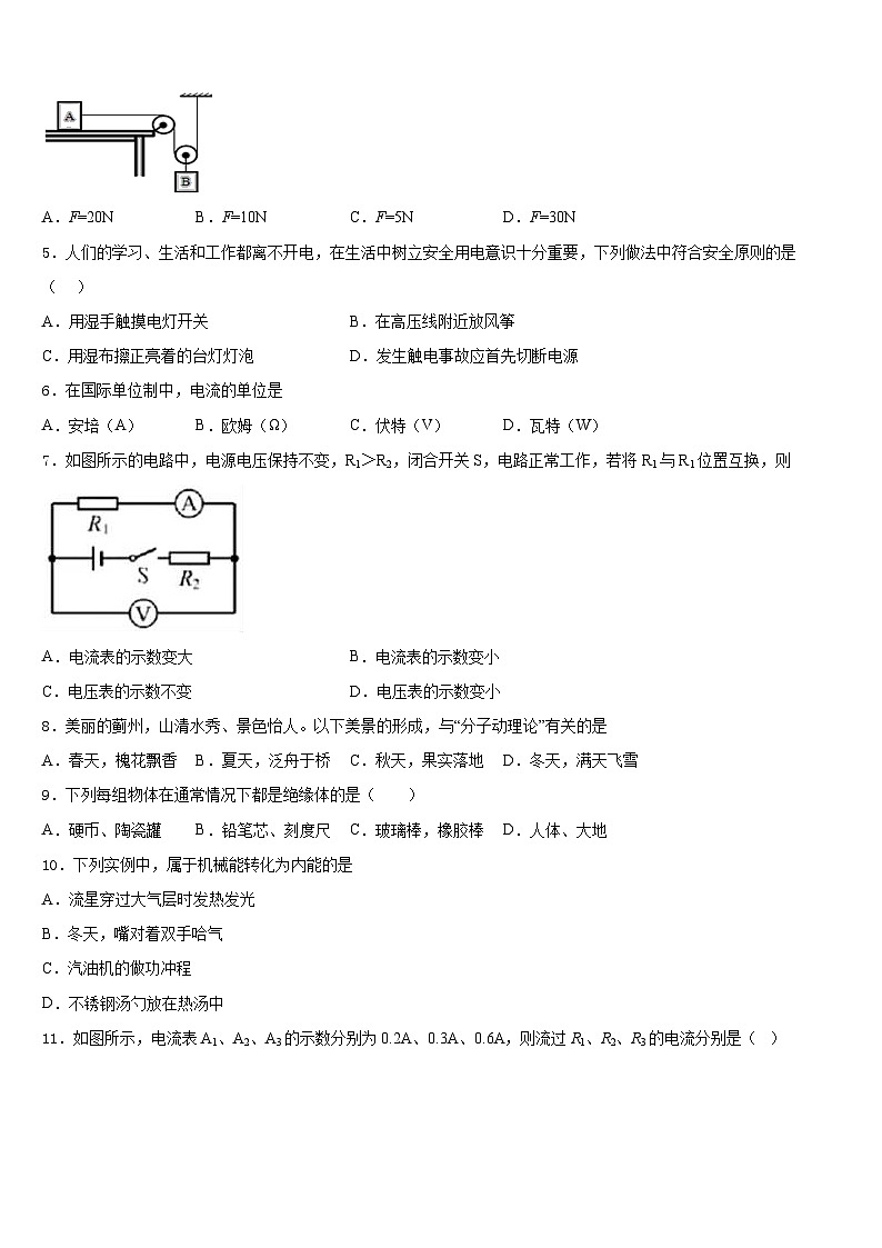 2023-2024学年山东省广饶县物理九年级第一学期期末质量跟踪监视试题含答案02
