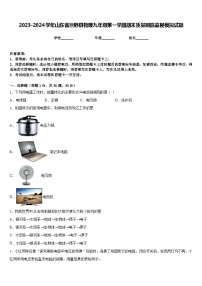 2023-2024学年山东省巨野县物理九年级第一学期期末质量跟踪监视模拟试题含答案