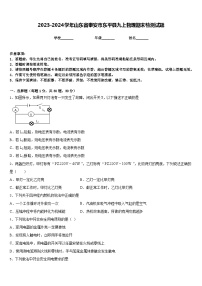 2023-2024学年山东省泰安市东平县九上物理期末检测试题含答案