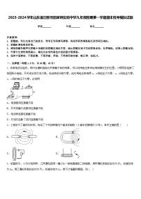 2023-2024学年山东省日照市田家炳实验中学九年级物理第一学期期末统考模拟试题含答案