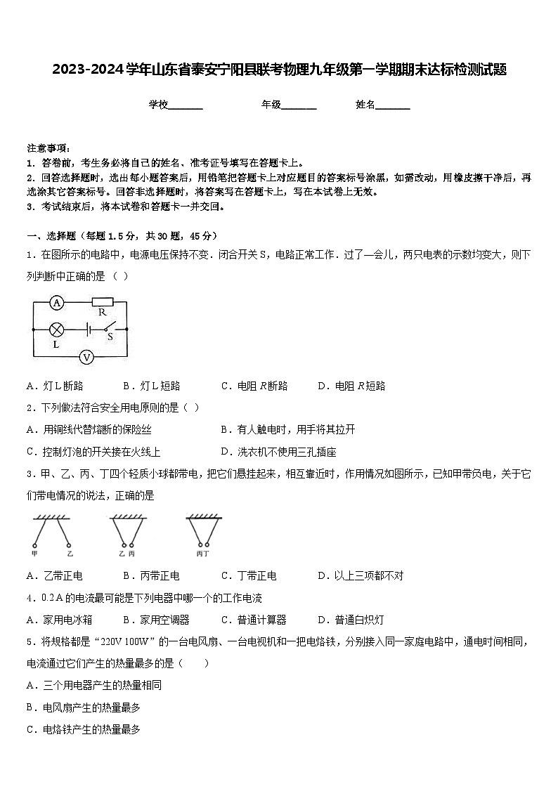 2023-2024学年山东省泰安宁阳县联考物理九年级第一学期期末达标检测试题含答案01