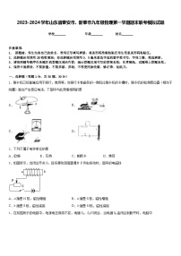 2023-2024学年山东省泰安市、新泰市九年级物理第一学期期末联考模拟试题含答案