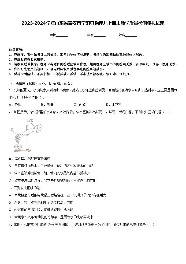 2023-2024学年山东省泰安市宁阳县物理九上期末教学质量检测模拟试题含答案第1页