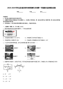 2023-2024学年山东省日照市莒县物理九年级第一学期期末监测模拟试题含答案