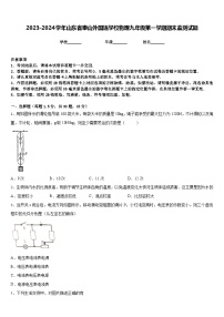 2023-2024学年山东省泰山外国语学校物理九年级第一学期期末监测试题含答案