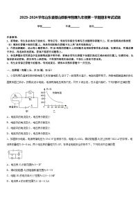 2023-2024学年山东省微山县联考物理九年级第一学期期末考试试题含答案