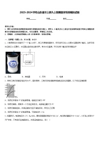 2023-2024学年山东省汶上县九上物理期末检测模拟试题含答案