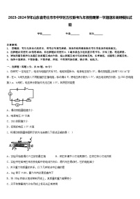 2023-2024学年山东省枣庄市市中学区五校联考九年级物理第一学期期末调研模拟试题含答案