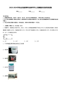 2023-2024学年山东省新泰市谷里中学九上物理期末质量检测试题含答案