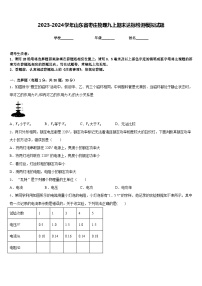 2023-2024学年山东省枣庄物理九上期末达标检测模拟试题含答案