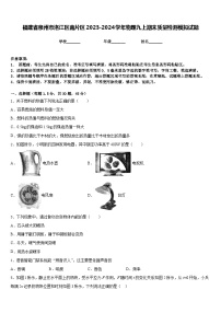 福建省泉州市洛江区南片区2023-2024学年物理九上期末质量检测模拟试题含答案