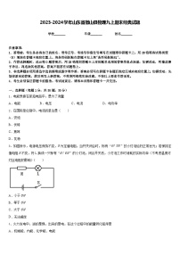 2023-2024学年山东省微山县物理九上期末经典试题含答案