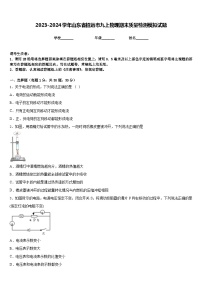 2023-2024学年山东省招远市九上物理期末质量检测模拟试题含答案