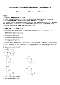 2023-2024学年山东省新泰市新甫中学物理九上期末经典模拟试题含答案