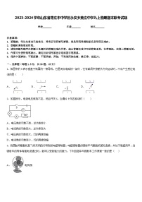 2023-2024学年山东省枣庄市中学区永安乡黄庄中学九上物理期末联考试题含答案