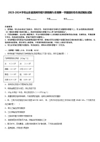 2023-2024学年山东省滨州市博兴县物理九年级第一学期期末综合测试模拟试题含答案