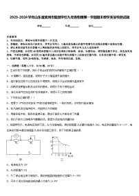 2023-2024学年山东省滨州市集团学校九年级物理第一学期期末教学质量检测试题含答案