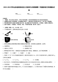 2023-2024学年山东省滨州沾化区六校联考九年级物理第一学期期末复习检测模拟试题含答案