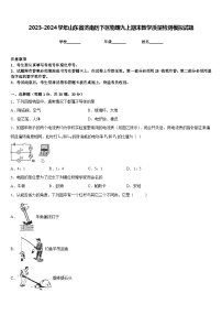 2023-2024学年山东省济南历下区物理九上期末教学质量检测模拟试题含答案