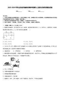 2023-2024学年山东省济南商河县联考物理九上期末达标检测模拟试题含答案