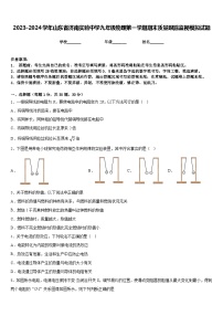 2023-2024学年山东省济南实验中学九年级物理第一学期期末质量跟踪监视模拟试题含答案