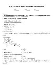 2023-2024学年山东省济南实验中学物理九上期末达标检测试题含答案