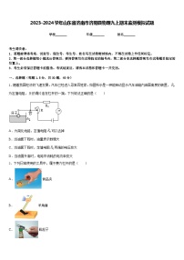 2023-2024学年山东省济南市济阳县物理九上期末监测模拟试题含答案