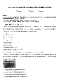 2023-2024学年山东省济南市礼乐初级中学物理九上期末复习检测试题含答案