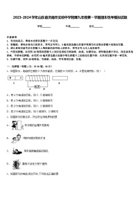 2023-2024学年山东省济南市实验中学物理九年级第一学期期末统考模拟试题含答案