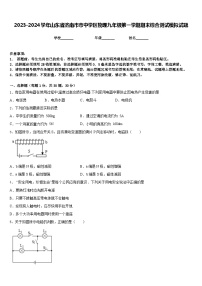 2023-2024学年山东省济南市市中学区物理九年级第一学期期末综合测试模拟试题含答案