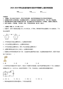 2023-2024学年山东省济南市长清五中学物理九上期末预测试题含答案