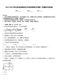 2023-2024学年山东省济南章丘区五校联考物理九年级第一学期期末考试试题含答案