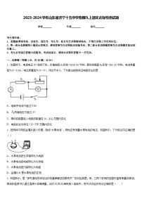 2023-2024学年山东省济宁十五中学物理九上期末达标检测试题含答案