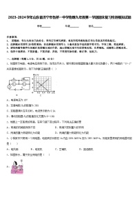 2023-2024学年山东省济宁市鲁桥一中学物理九年级第一学期期末复习检测模拟试题含答案