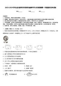 2023-2024学年山东省潍坊市青州市益都中学九年级物理第一学期期末统考试题含答案