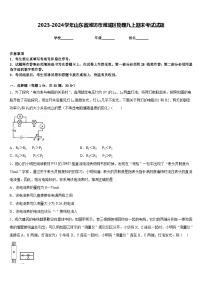 2023-2024学年山东省潍坊市潍城区物理九上期末考试试题含答案