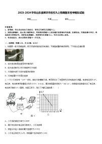 2023-2024学年山东省潍坊市名校九上物理期末统考模拟试题含答案