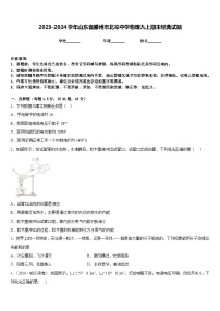 2023-2024学年山东省滕州市北辛中学物理九上期末经典试题含答案