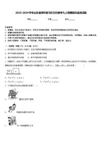 2023-2024学年山东省潍坊奎文区五校联考九上物理期末监测试题含答案